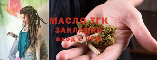 молекула духа Гусев