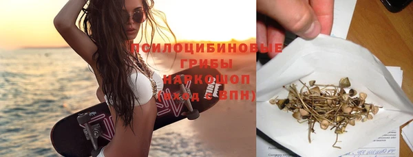 молекула духа Гусев