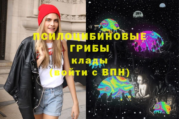 молекула духа Гусев